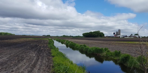 WOTUS_6.jpg Image of WOTUS_6.jpg