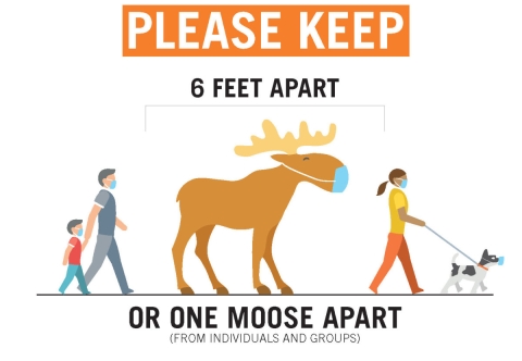 One-Moose-Apart-Social-Distancing-in-Cook-County-MN-MASKED-CROPPED-1200x830.jpg Image of One-Moose-Apart-Social-Distancing-in-Cook-County-MN-MASKED-CROPPED-1200x830.jpg