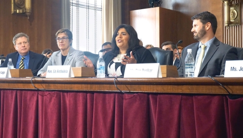 congressional-testimony-photo_LizA.jpg Image of congressional-testimony-photo_LizA.jpg